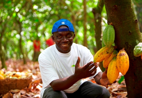 Farmers appeal for appointment of Cocoa Affairs minister