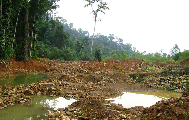 Stop mining in forest reserves – WACAM to Gov’t