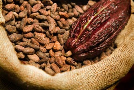 Ghana to borrow $1.3bn for 2017/2018 cocoa purchases