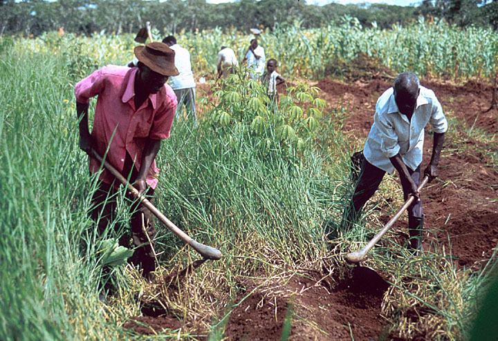 Agric workers laud gov’t’s ‘planting for good and job’ campaign