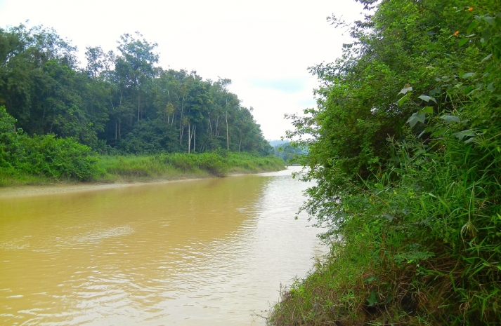 Galamsey fight: River Pra showing signs of improvement