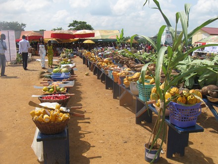 Ghana marks 32nd National Farmers’ day today