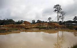 Private sector is key in restoring ‘damaged’ ecosystem – Environmentalists