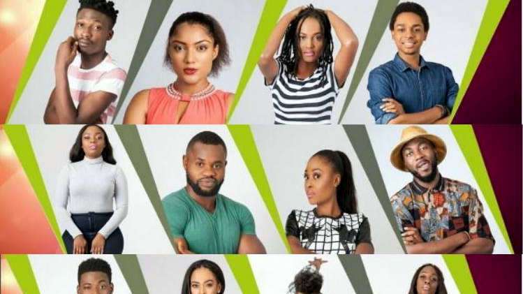 Nigeria: Gov’t investigates why Big Brother Naija moved to South Africa