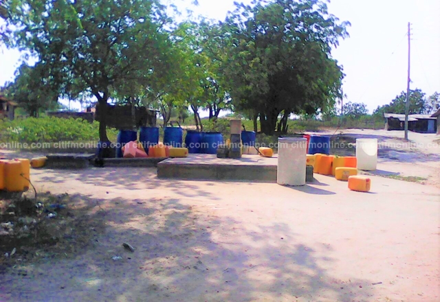 Thirst in the City: Sharing water with cattle [Report]