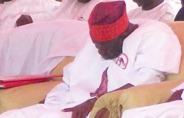 I dont sleep at public events, I only pretend – Kano State Governor