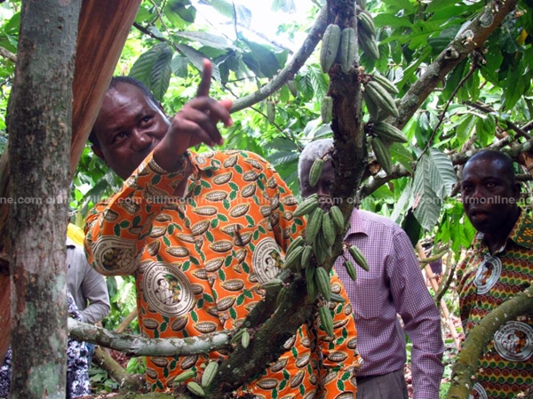 COCOBOD launches artificial pollination programme