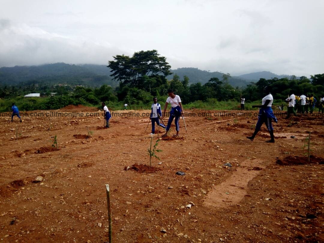 Fighting galamsey: EPA engages in tree planting in Kyebi