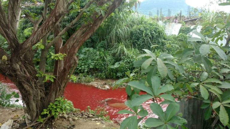 Police on manhunt for persons who turned Koforidua river into ‘blood’  