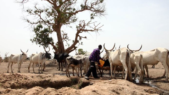 2 nomadic herdsmen escape lynching in E/Region