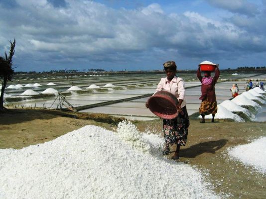 Left to die: Ghana’s salt companies folding up [Report]