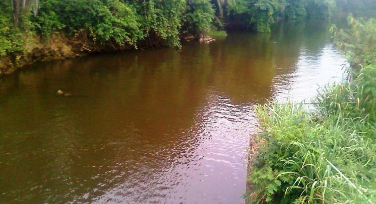 Water for 5m at stake, don’t mine bauxite in Atewa forest – Group