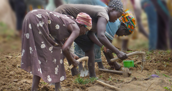 Commercial activities resume in Tamale after attack