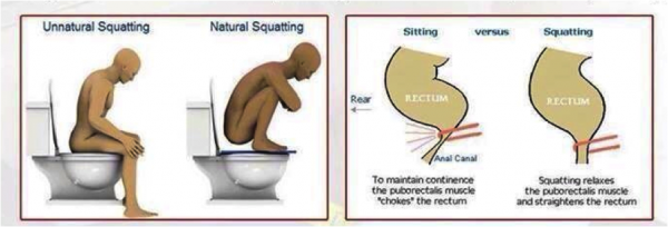 different ways to poop