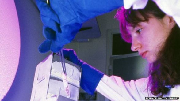 Baby born from ovary frozen in mother’s childhood