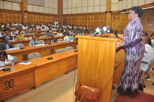NADMO Act to be passed next year