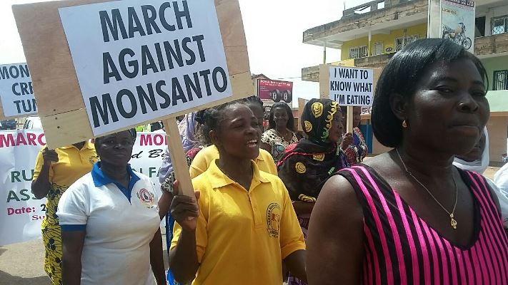 demo against gmo (8)