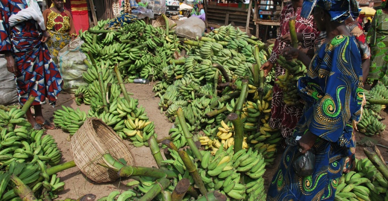 plantain