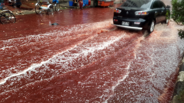 In this Tuesday, Sept. 13, 2016 photo, a car drives past a road turned red after blood from sacrificial animals on Eid al-Adha mixed with water from heavy rainfall in Dhaka, Bangladesh. Authorities in Dhaka had assigned several places in the city where residents could slaughter animals, but the heavy downpours Tuesday meant few people could use the designated areas. (AP Photo)