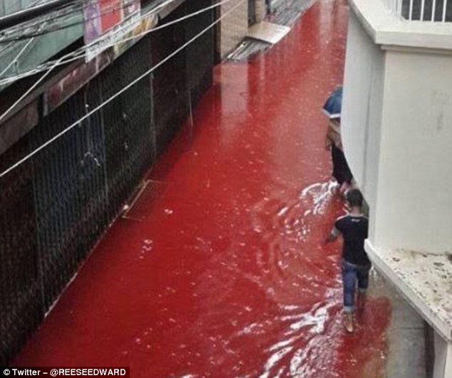 blood-river-in-dhaka-3