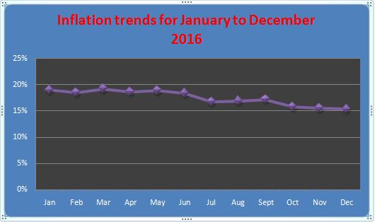 A graphical representation of the inflation trends for 2016 (By: Citibusinessnews.com)