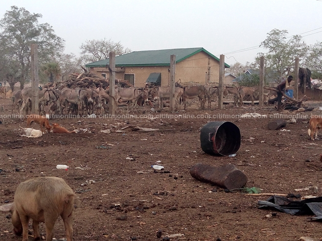 defunct-zuarungu-meat-factory-3