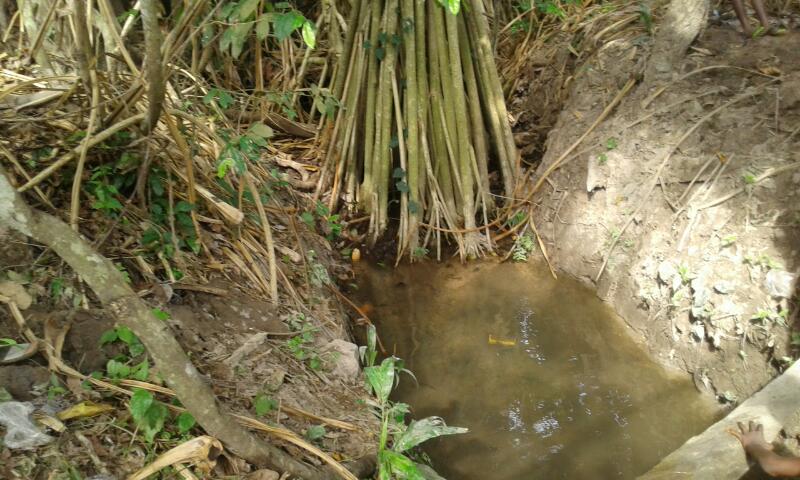 peki-celebrates-easter-picnic-at-ancient-river-bank-7