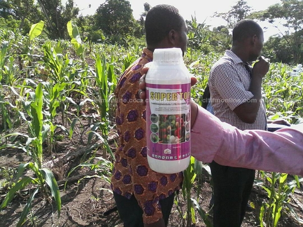 armyworm-infestation-spraying-agric-ministry-4