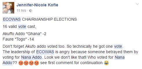 ecowas-voting-8
