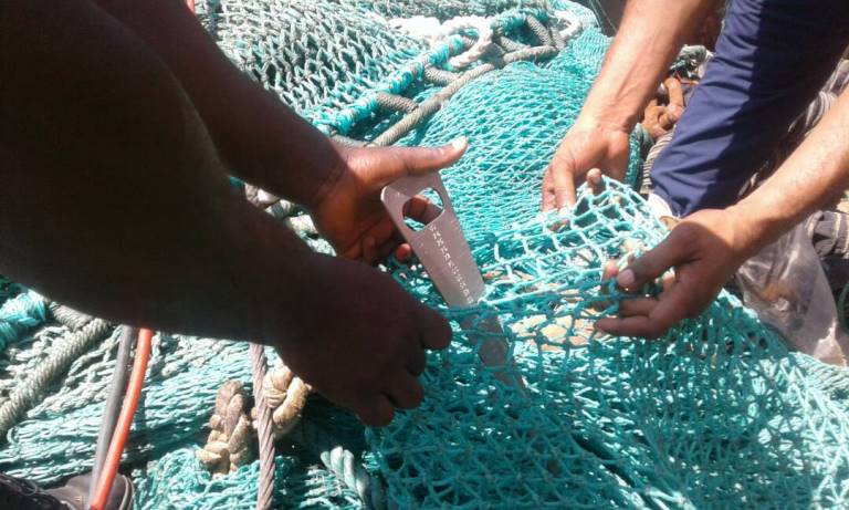 illegal-fishing-nets-5
