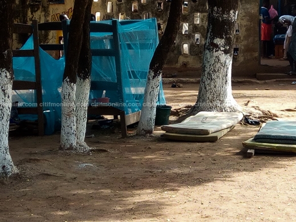 vitting-shs-students-sleeping-under-trees-4