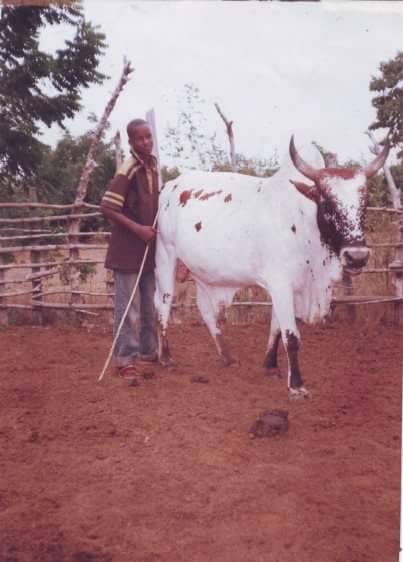 Young Umaru Sanda as a herdsman.